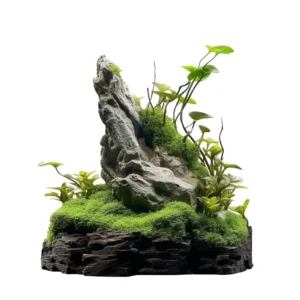 หินประดับ SS02