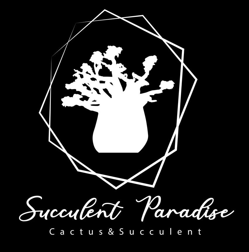 Succulent Paradise